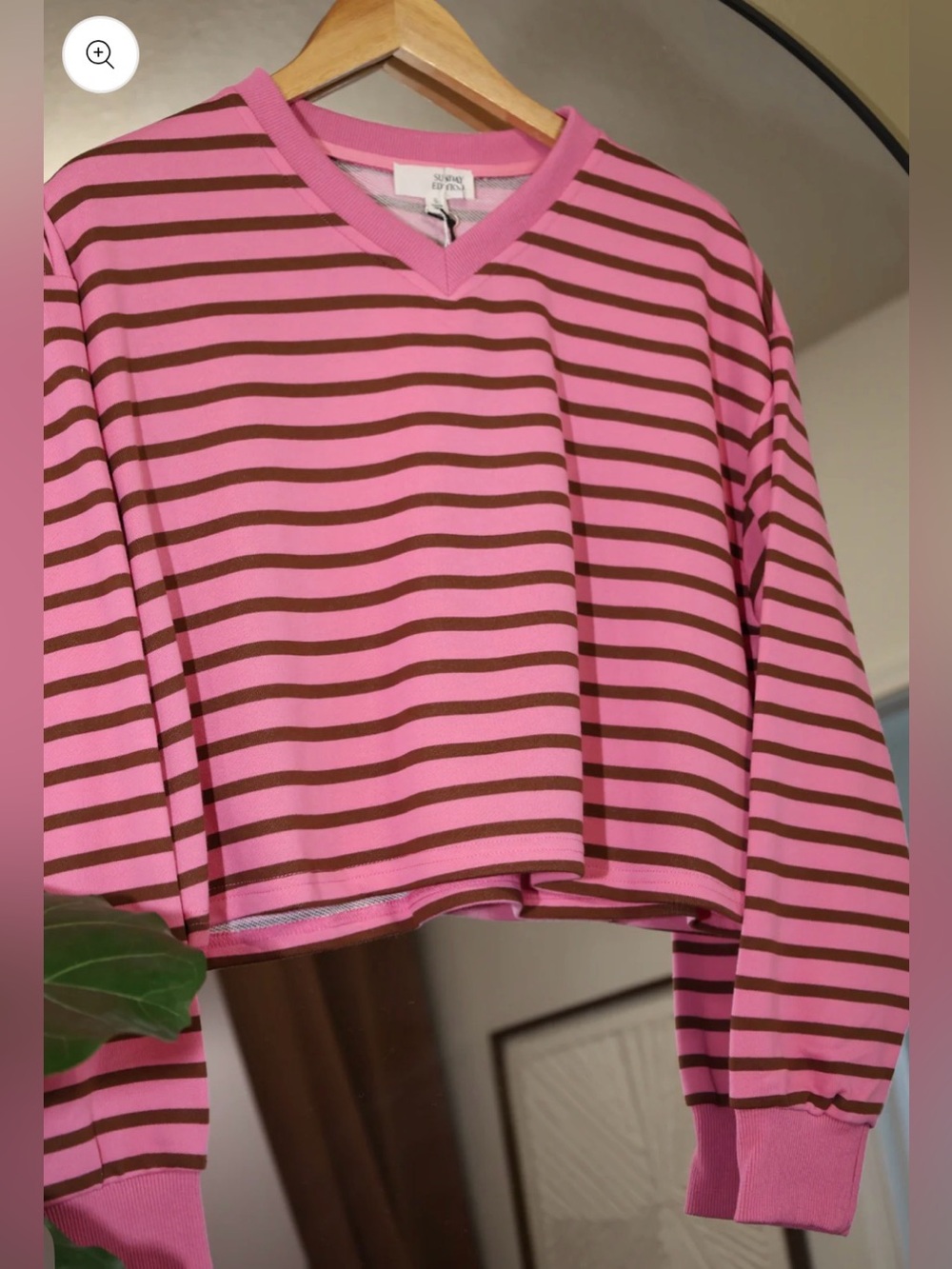 Women's Pink & Brown Striped V-Neck Cropped Top